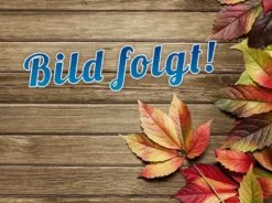 SEVERIN Kompakt-Multigrill KG 2394 800 Watt Grau / Schwarz -Deutschland Severin Verkaufs-Shop 35b0a02b0c76f4eca95d177deb989d03